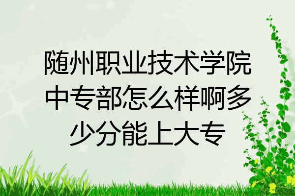 随州职业技术学院中专部怎么样啊多少分能上大专