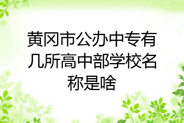 黄冈市公办中专有几所高中部学校名称是啥