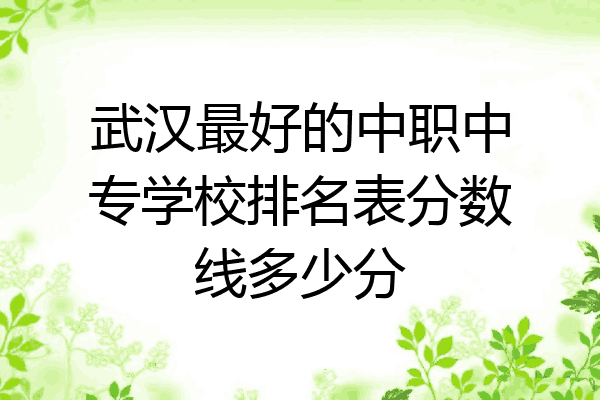武汉最好的中职中专学校排名表分数线多少分