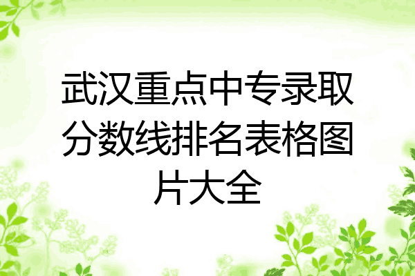 武汉重点中专录取分数线排名表格图片大全