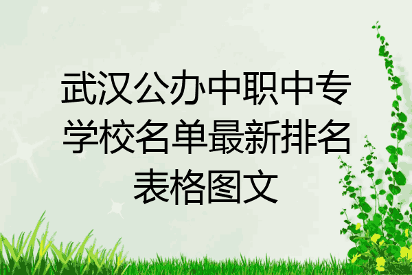 武汉公办中职中专学校名单最新排名表格图文