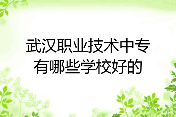武汉职业技术中专有哪些学校好的