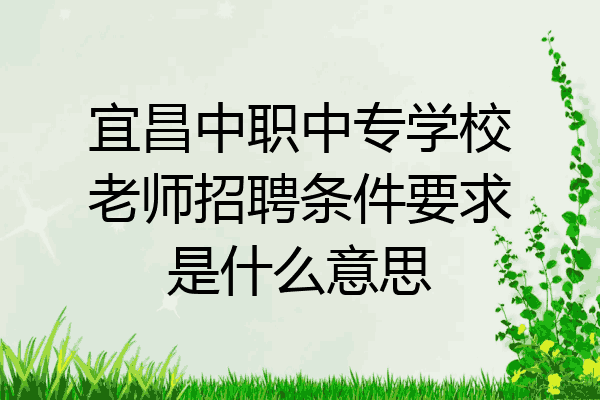 宜昌中职中专学校老师招聘条件要求是什么意思