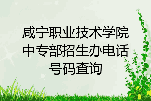 咸宁职业技术学院中专部招生办电话号码查询