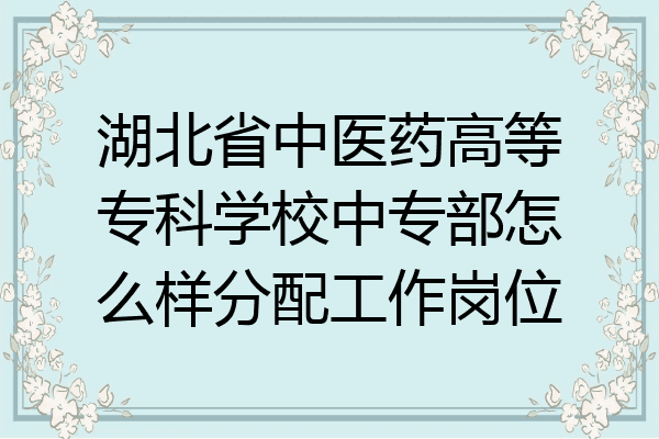 湖北省中医药高等专科学校中专部怎么样分配工作岗位