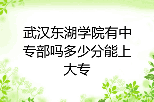 武汉东湖学院有中专部吗多少分能上大专