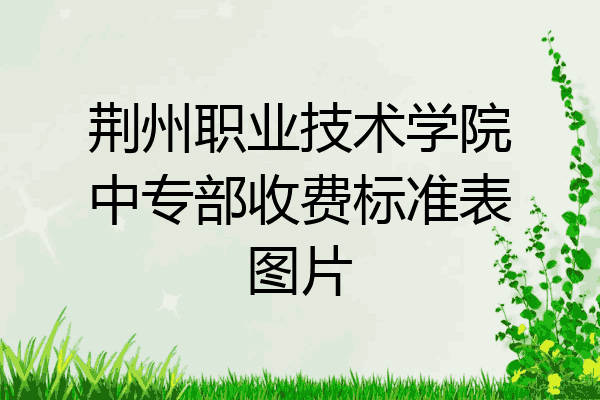 荆州职业技术学院中专部收费标准表图片