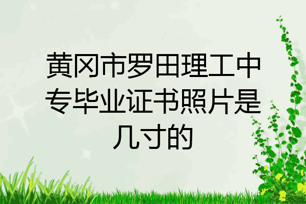 黄冈市罗田理工中专毕业证书照片是几寸的