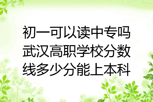 初一可以读中专吗武汉高职学校分数线多少分能上本科