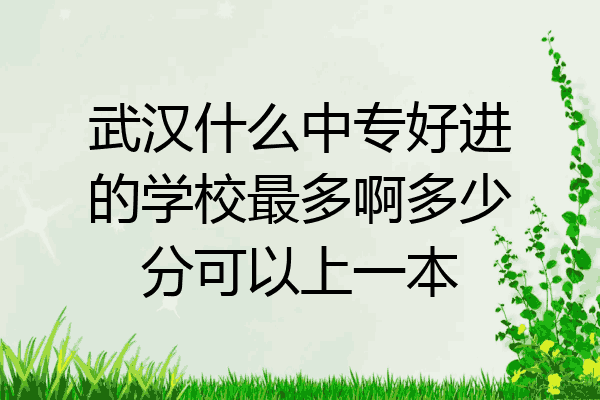 武汉什么中专好进的学校最多啊多少分可以上一本