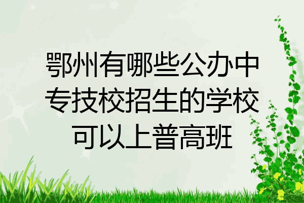 鄂州有哪些公办中专技校招生的学校可以上普高班