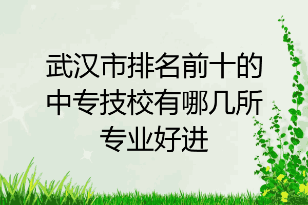 武汉市排名前十的中专技校有哪几所专业好进
