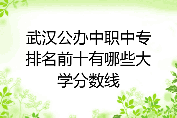武汉公办中职中专排名前十有哪些大学分数线