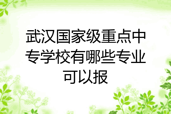 武汉国家级重点中专学校有哪些专业可以报
