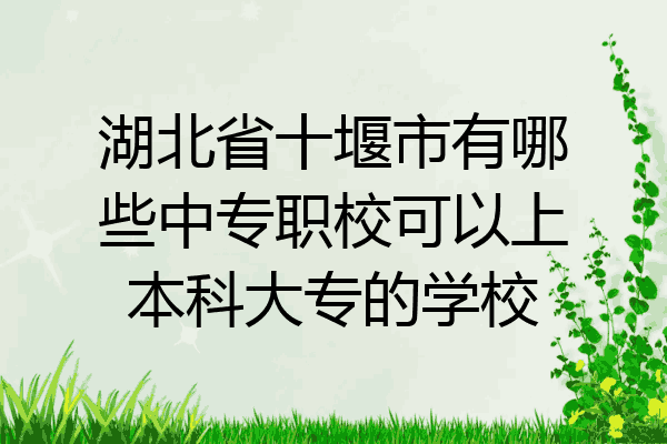 湖北省十堰市有哪些中专职校可以上本科大专的学校
