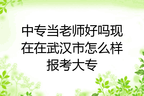 中专当老师好吗现在在武汉市怎么样报考大专