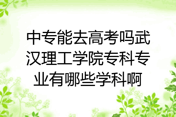 中专能去高考吗武汉理工学院专科专业有哪些学科啊