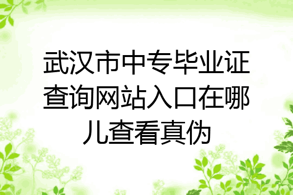 武汉市中专毕业证查询网站入口在哪儿查看真伪