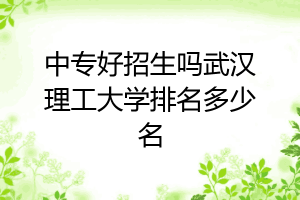 中专好招生吗武汉理工大学排名多少名