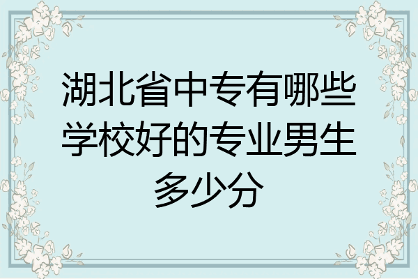 湖北省中专有哪些学校好的专业男生多少分