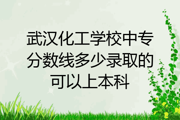 武汉化工学校中专分数线多少录取的可以上本科
