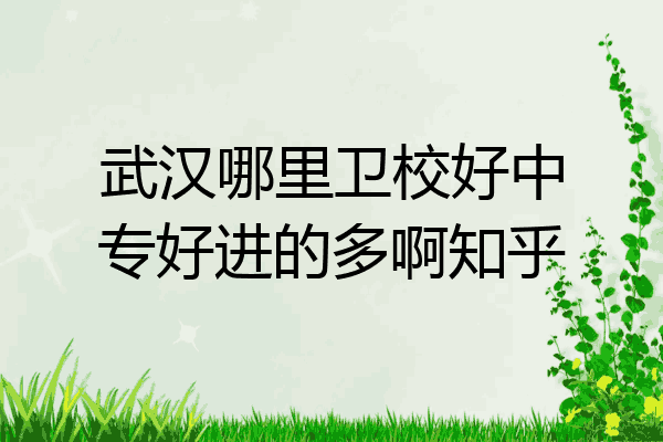 武汉哪里卫校好中专好进的多啊知乎