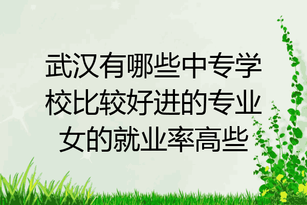 武汉有哪些中专学校比较好进的专业女的就业率高些