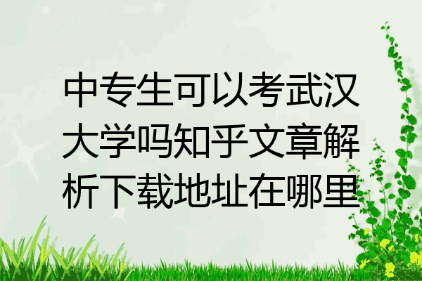 中专生可以考武汉大学吗知乎文章解析下载地址在哪里