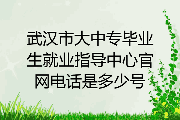 武汉市大中专毕业生就业指导中心官网电话是多少号