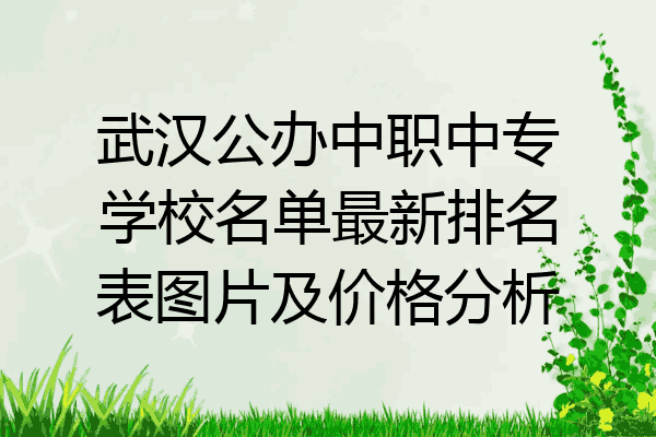 武汉公办中职中专学校名单最新排名表图片及价格分析