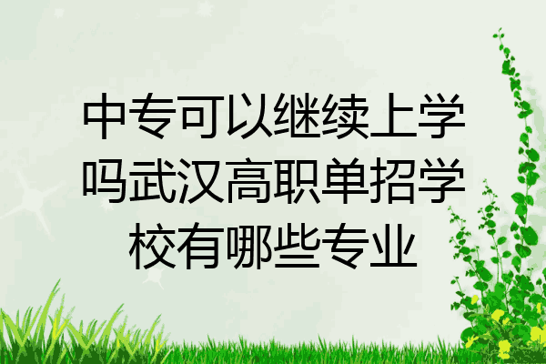 中专可以继续上学吗武汉高职单招学校有哪些专业
