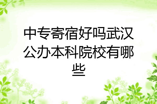 中专寄宿好吗武汉公办本科院校有哪些