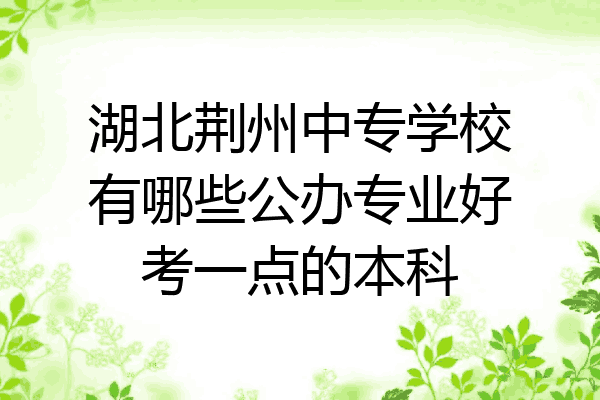 湖北荆州中专学校有哪些公办专业好考一点的本科
