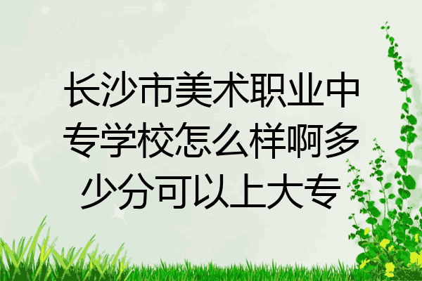 长沙市美术职业中专学校怎么样啊多少分可以上大专