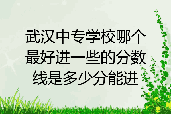 武汉中专学校哪个最好进一些的分数线是多少分能进