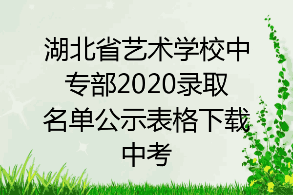 湖北省艺术学校中专部2020录取名单公示表格下载中考