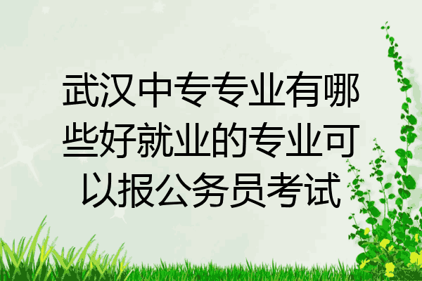 武汉中专专业有哪些好就业的专业可以报公务员考试