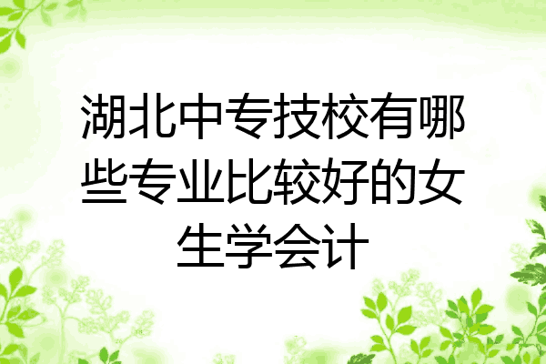 湖北中专技校有哪些专业比较好的女生学会计