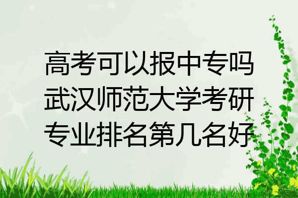 高考可以报中专吗武汉师范大学考研专业排名第几名好