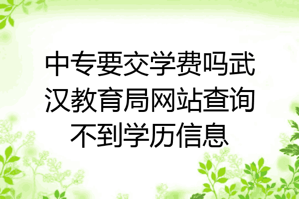 中专要交学费吗武汉教育局网站查询不到学历信息