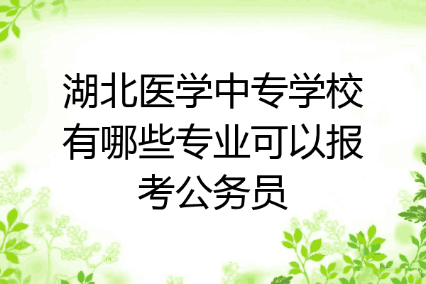 湖北医学中专学校有哪些专业可以报考公务员