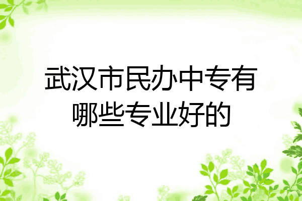 武汉市民办中专有哪些专业好的