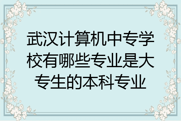 武汉计算机中专学校有哪些专业是大专生的本科专业
