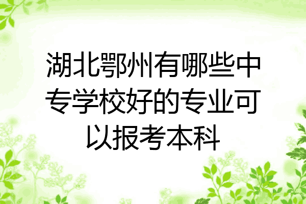湖北鄂州有哪些中专学校好的专业可以报考本科