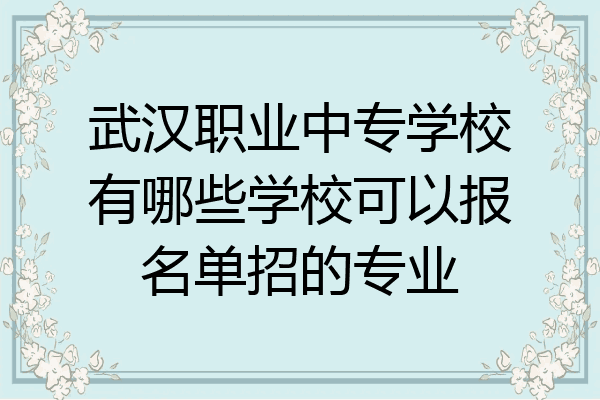 武汉职业中专学校有哪些学校可以报名单招的专业