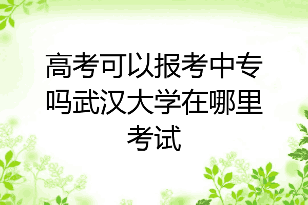 高考可以报考中专吗武汉大学在哪里考试