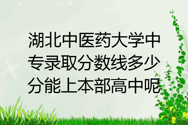 湖北中医药大学中专录取分数线多少分能上本部高中呢