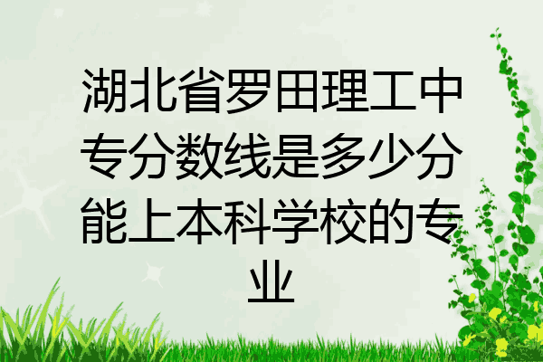 湖北省罗田理工中专分数线是多少分能上本科学校的专业