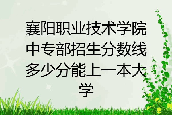 襄阳职业技术学院中专部招生分数线多少分能上一本大学
