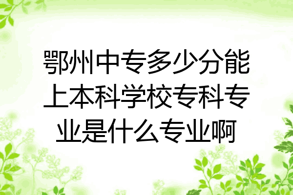 鄂州中专多少分能上本科学校专科专业是什么专业啊